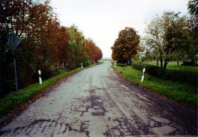 Abriss der Kuhst&auml;lle