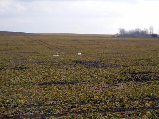 Ansichten Frühjahr 2006