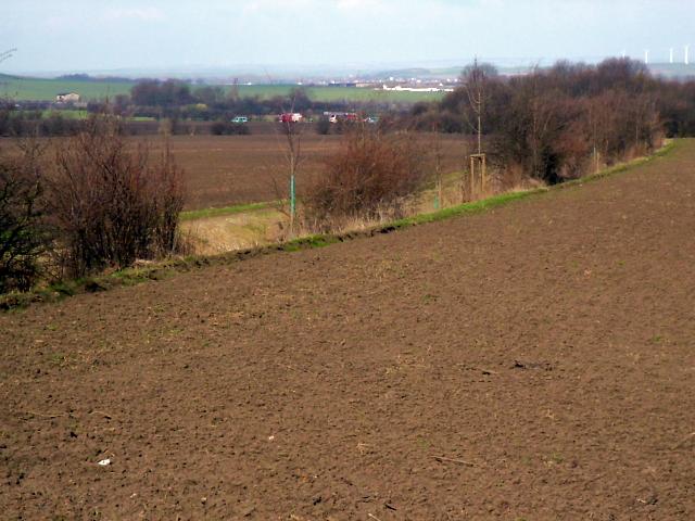 Ansichten Frühjahr 2006