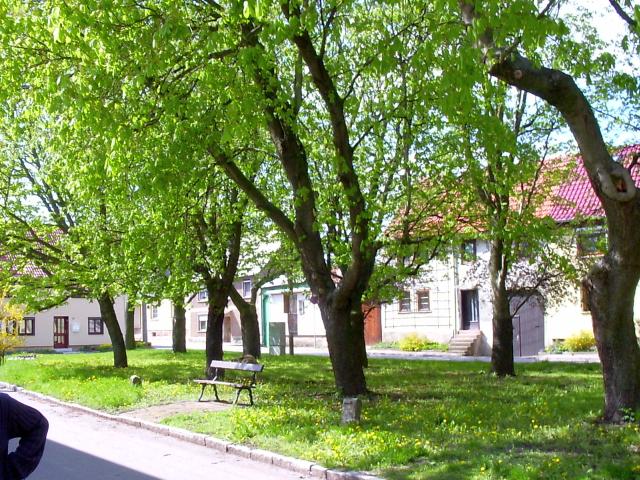 Ansichten Frühjahr 2006