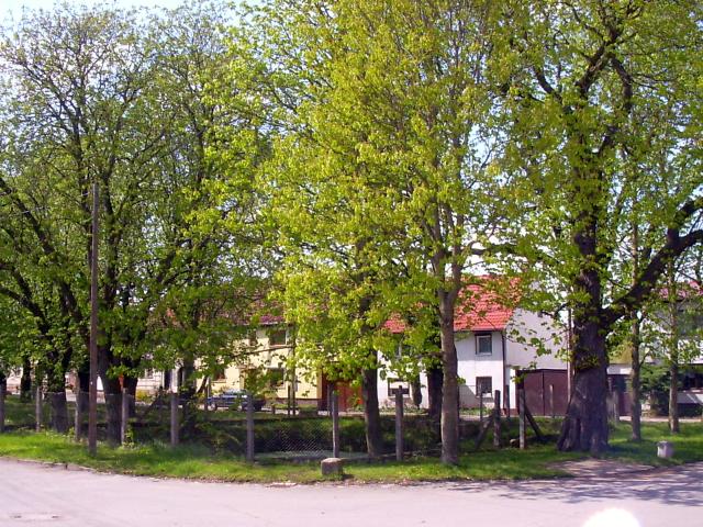 Ansichten Frühjahr 2006