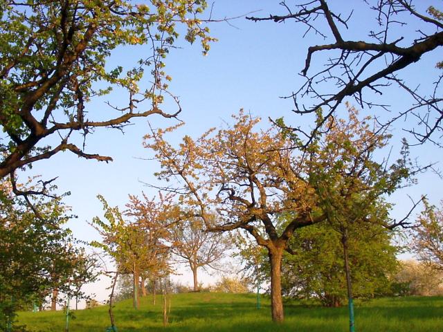 Ansichten Frühjahr 2006