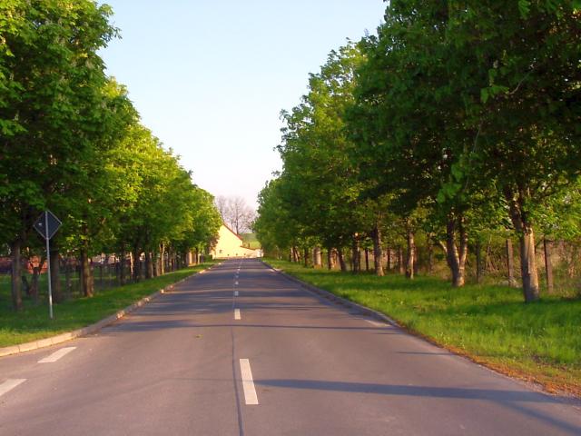 Ansichten Frühjahr 2006