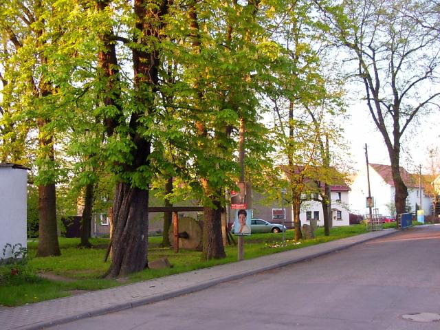 Ansichten Frühjahr 2006