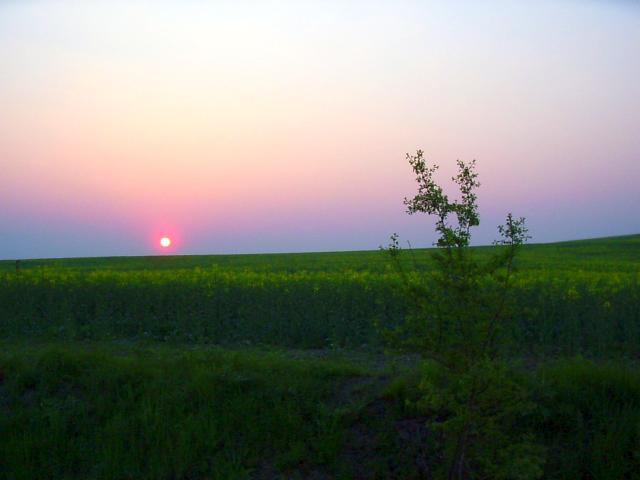 Ansichten Frühjahr 2006