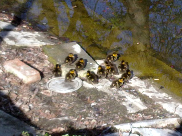 Fr&uuml;hlingsansichten 2012