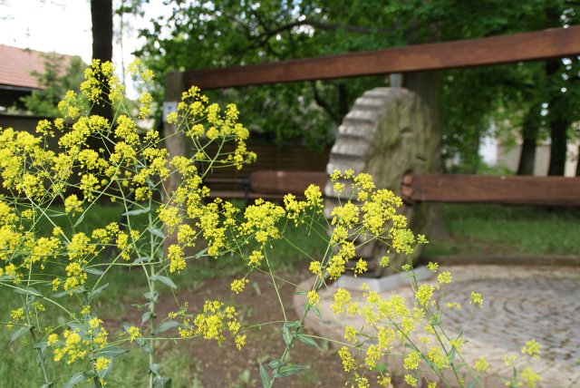 Fr&uuml;hlingsansichten 2012