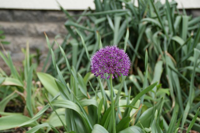 Fr&uuml;hlingsansichten 2012