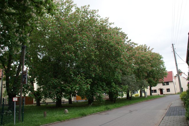 Fr&uuml;hlingsansichten 2012