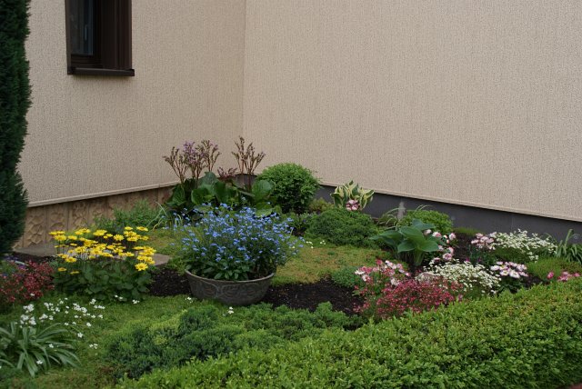 Frühlingsansichten 2012