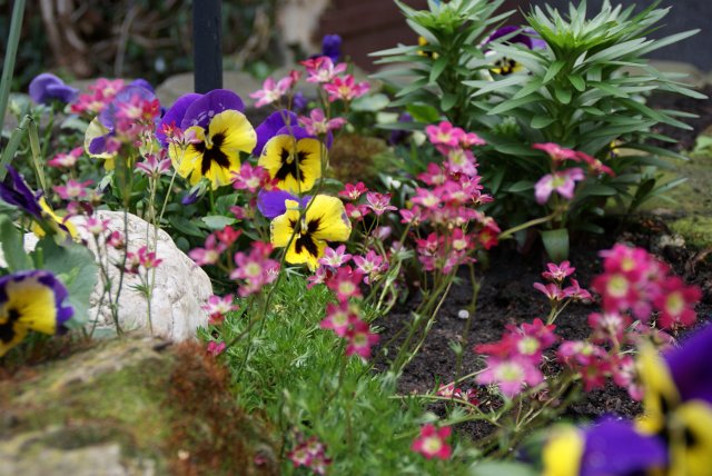 Fr&uuml;hlingsansichten 2012