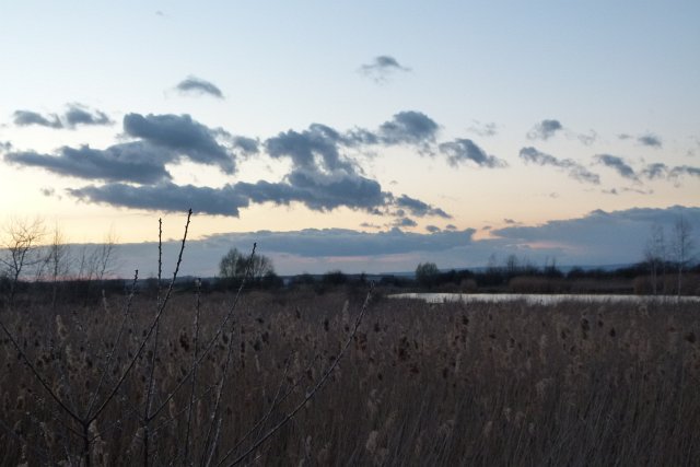 Fr&uuml;hlingsansichten 2012