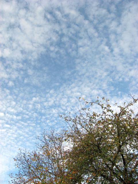 Ansichten Herbst 2006