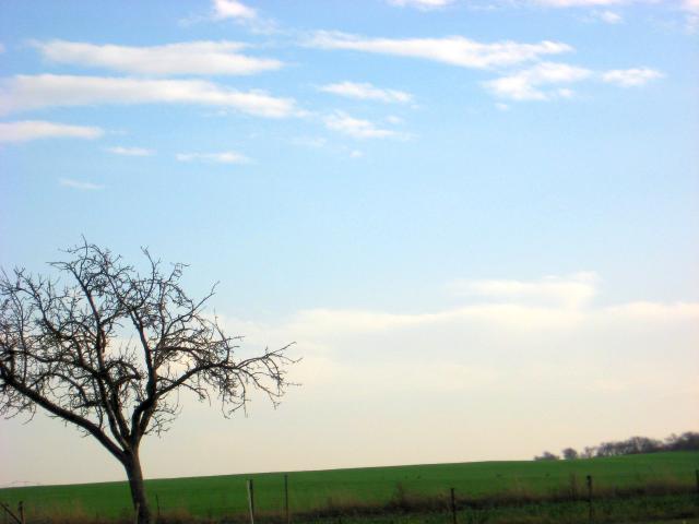 Ansichten Herbst 2006