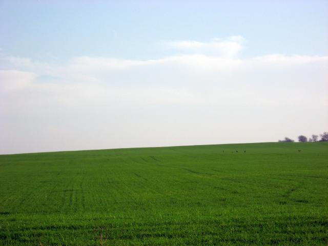 Ansichten Herbst 2006