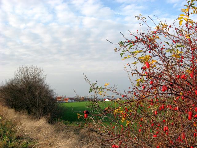 Ansichten Herbst 2006