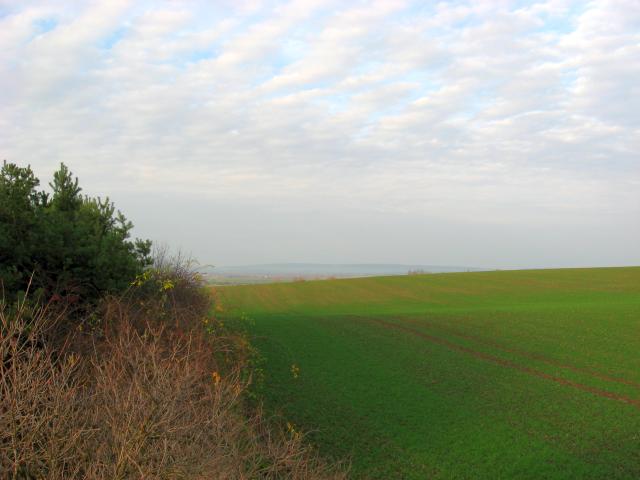 Ansichten Herbst 2006