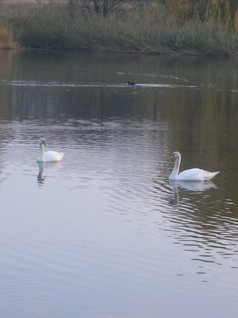 Ansichten Herbst 2011