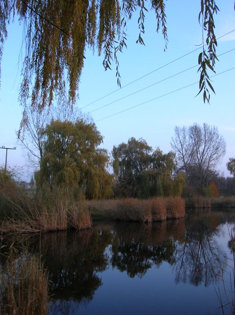 Ansichten Herbst 2011