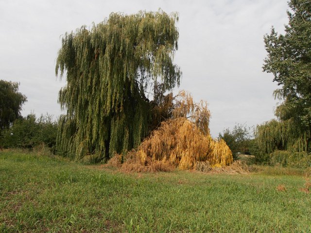 Ansichten Herbst 2011