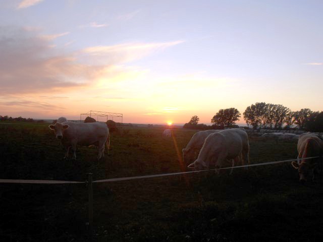 Ansichten Herbst 2011