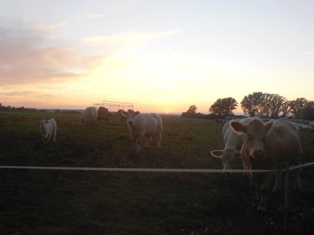 Ansichten Herbst 2011