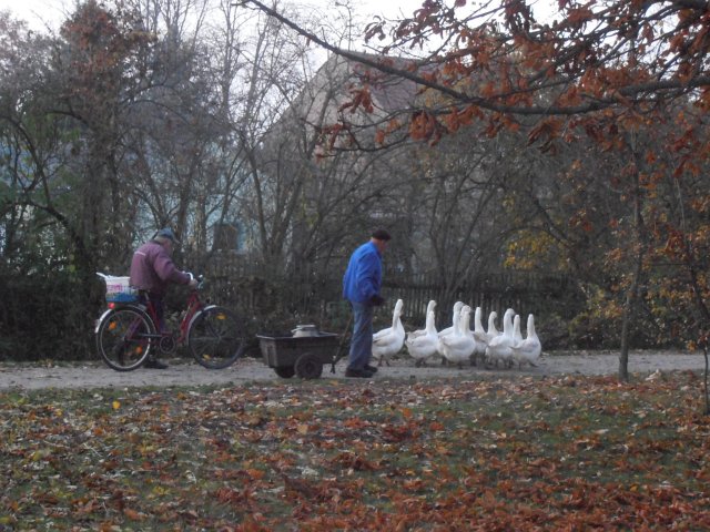 Ansichten Herbst 2011