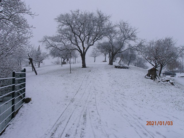 Winteransichten (Januar 2021)