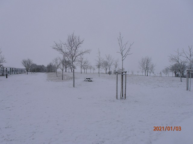 Winteransichten (Januar 2021)