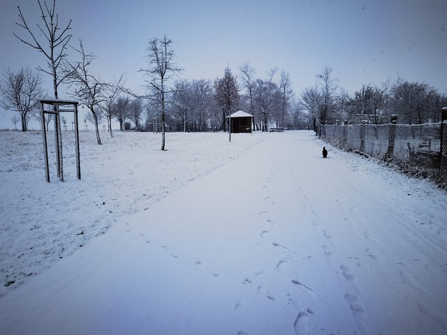 Winteransichten (Januar 2021)