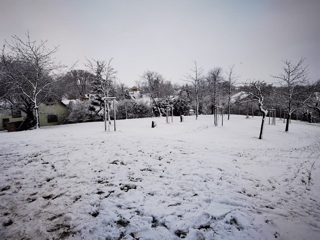 Winteransichten (Januar 2021)