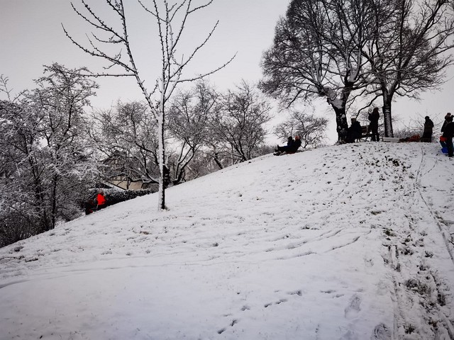 Winteransichten (Januar 2021)