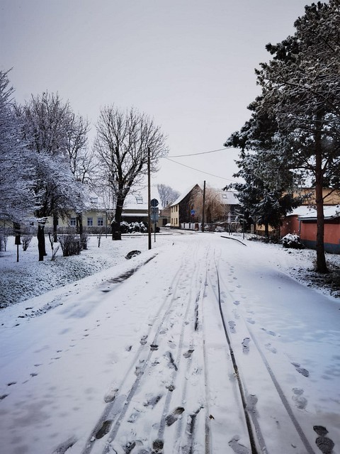 Winteransichten (Januar 2021)