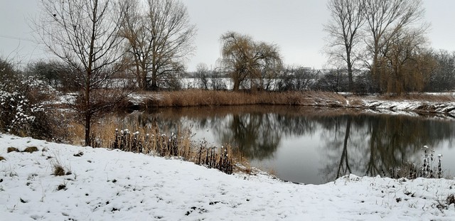 Winteransichten (Januar 2021)