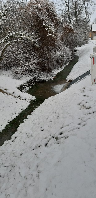 Winteransichten (Januar 2021)