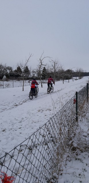 Winteransichten (Januar 2021)