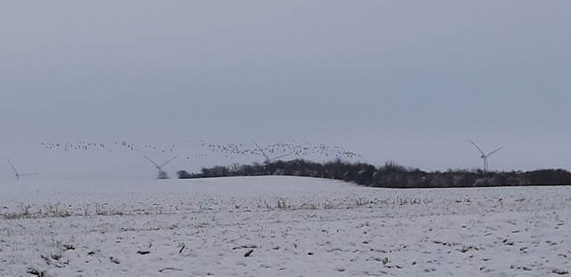 Winteransichten (Januar 2021)