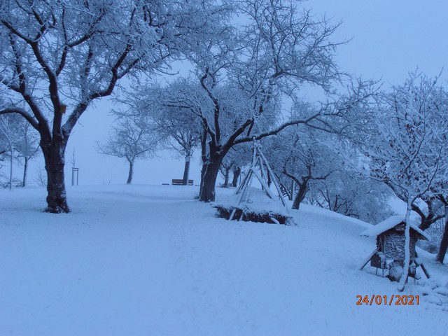 Winteransichten (Januar 2021)