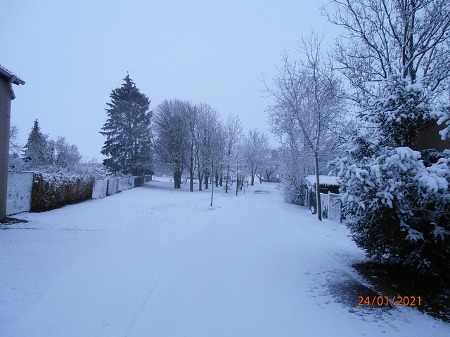 Winteransichten (Januar 2021)