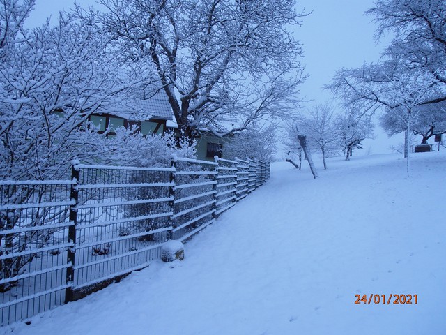 Winteransichten (Januar 2021)