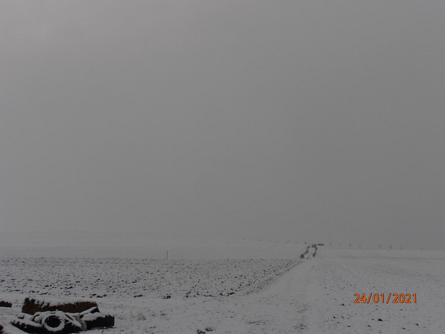 Winteransichten (Januar 2021)