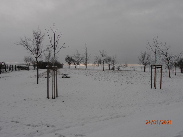 Winteransichten (Januar 2021)