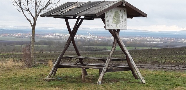 Winteransichten (Januar 2021)