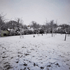 Winteransichten (Januar 2021)