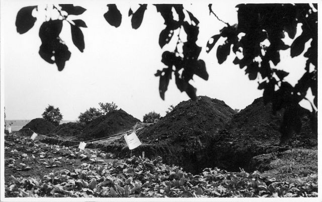 Ausgrabung auf dem Anger 1969