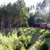 Feuerwehrausflug in den Harz