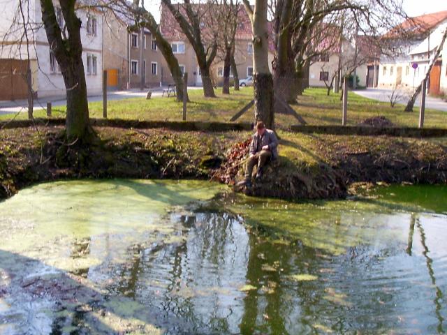 Fr&uuml;hjahrsputz 2006