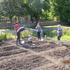 Die Gartenkinder in Aktion