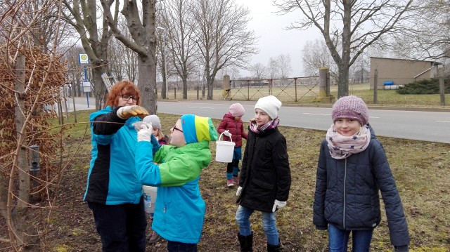 Nistkastenpflege der Gartenkinder