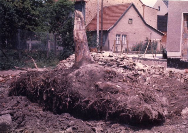 Bau der Gaststätte "Zur Waidmühle"